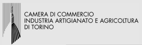 Camera Commercio Torino 